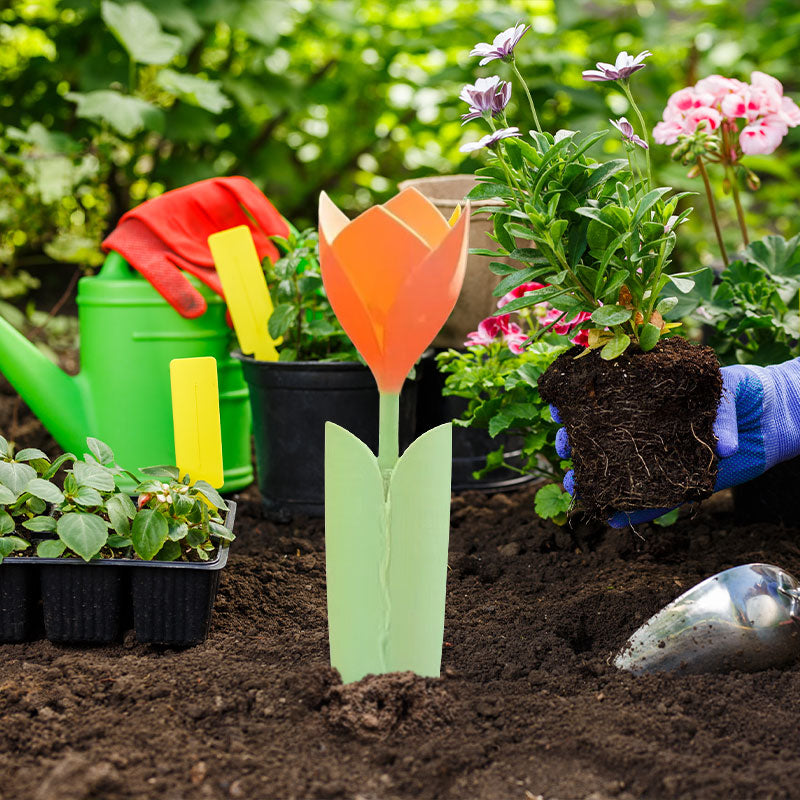 🌷Tulpanväxt droppbricka
