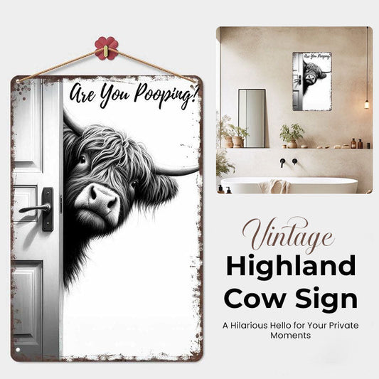 🐄 Der freche Besucher: Vintage-Schild mit Hochlandkuh