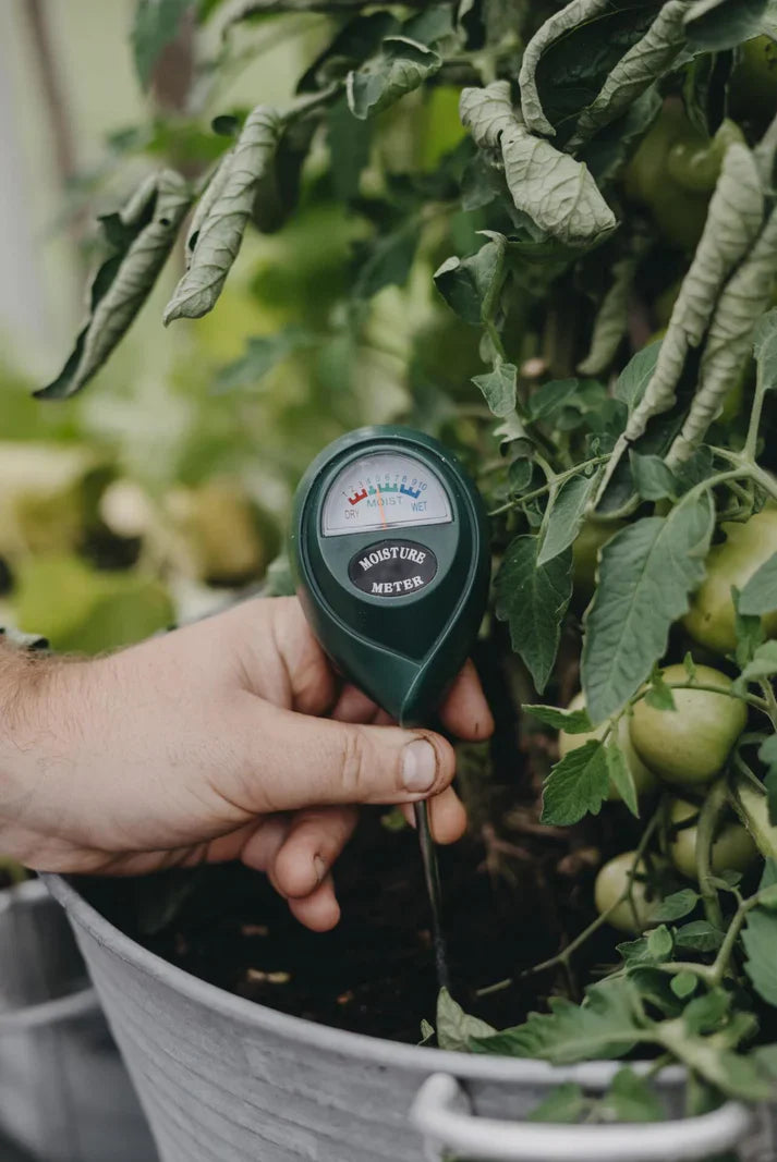 3 in 1 Soil PH Moisture Meter Plant Water Light Tester