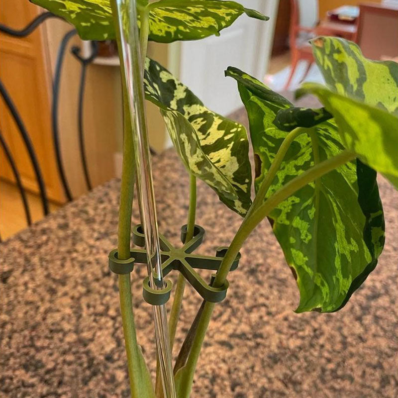Pflanzenstammhalter (4 Stück)