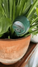 3 in 1 Soil PH Moisture Meter Plant Water Light Tester