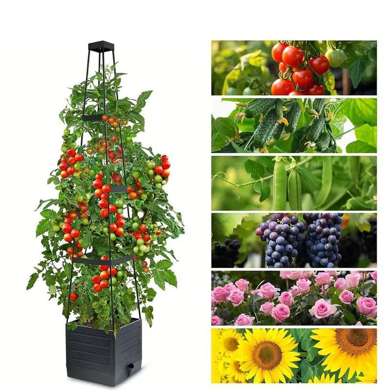 ⏳Zeitlich begrenztes Sonderangebot⏰Hochbeete mit Spalier💐
