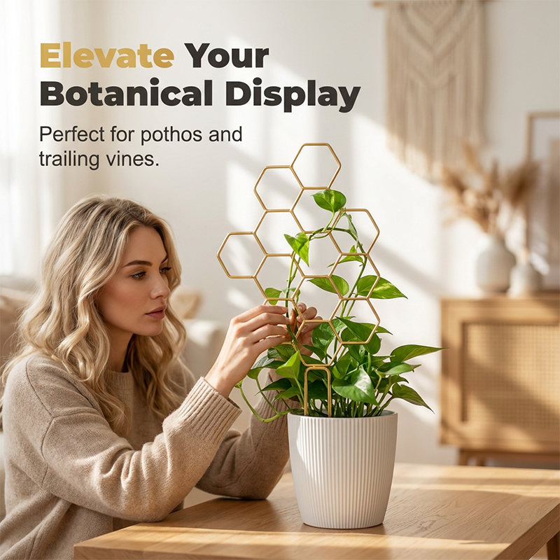 🌿 NUR FÜR BEGRENZTE ZEIT: 50 % RABATT! ✨ Pflanzenspalier im Wabenmuster – rostfrei, stapelbar, einfach zu montieren 🐝
