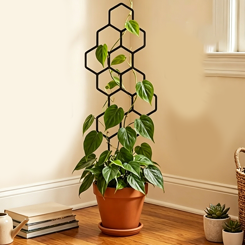 🌿 NUR FÜR BEGRENZTE ZEIT: 50 % RABATT! ✨ Pflanzenspalier im Wabenmuster – rostfrei, stapelbar, einfach zu montieren 🐝