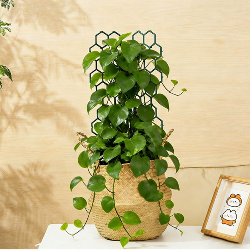 🌿 NUR FÜR BEGRENZTE ZEIT: 50 % RABATT! ✨ Pflanzenspalier im Wabenmuster – rostfrei, stapelbar, einfach zu montieren 🐝